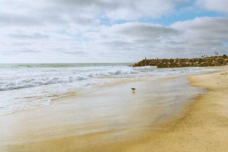 San Diego beach at sunset. Beautiful cloudy sky background