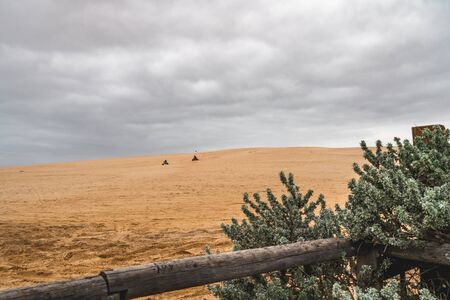 Oceano sand dunes recreation area, Californiaの写真素材