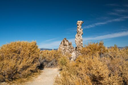 Mono Lake shore path, fall colors.  Mono Lake Tufa State Natural Reserve, California.の写真素材