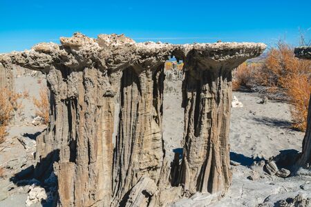 Sand Tufa towers, formed when spring water percolated upward through lake-bed sands, creating tubes weakly held together by calcium carbonate. Sand Tufa at Navy Beach, Mono Lake, Californiaの写真素材