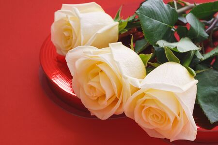 Roses and candy box. Gorgeous white caramel roses bouquet and red present candy box close up on red background with copy spaceの写真素材
