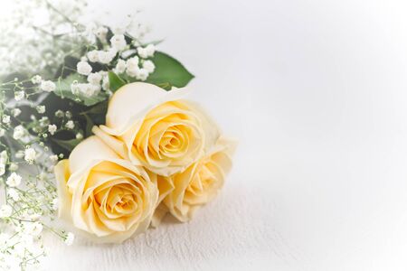 Beige roses. Bunch of beautiful beige caramel roses close up on white background with copy spaceの写真素材