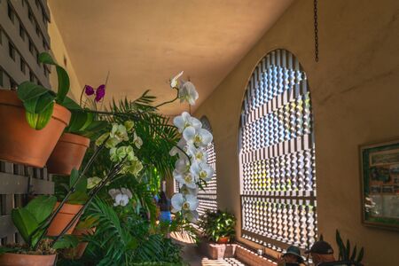 San Diego, California/USA - August 12, 2019 Botanical building at Balboa Park, San Diego, CA. The Botanical Building is one of the largest lath structures in the worldのeditorial素材