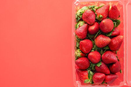 Fresh ripe organic strawberries in plastic container close up on red background, view from above, copy spaceの写真素材