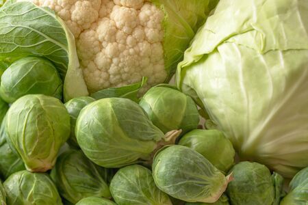 Brussels sprouts, cauliflower, and white cabbage close up. Fresh organic vegetables from farmers marketの写真素材