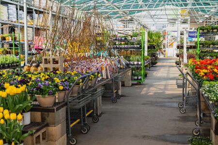 Santa Maria, California/USA - February 22, 2020.  Garden center and floral market. Variety of flowers, trees, plants, different types of potting soil and organic fertilizersのeditorial素材