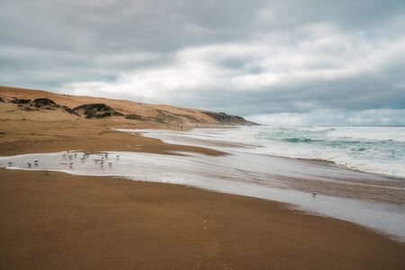 Dramatic seascape. Wide sandy beach, sand dunes, stormy ocean, and cloudy sky backgroundの写真素材