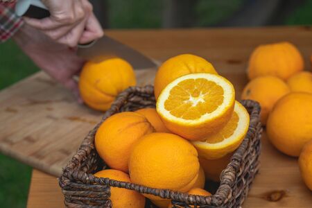 Basket of fresh ripe organic oranges close up in a gardenの写真素材