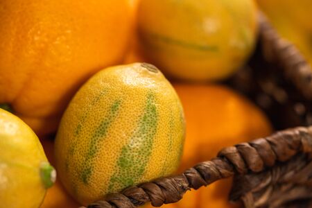 Fresh ripe organic oranges and lemons close up in  basket on white backgroundの写真素材