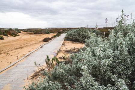 Footpath Through Sand Dunes Between Oso Flaco Lake and Ocean. Guadalupe-Nipomo Dunes National Wildlife Refuge, Califoniaの写真素材