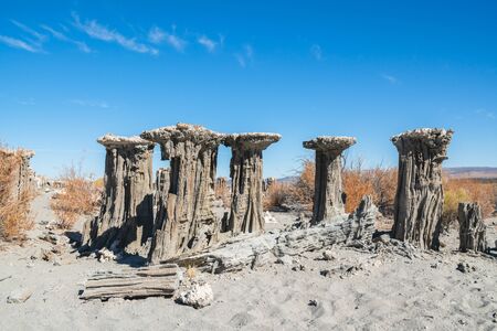 Sand Tufa towers, formed when spring water percolated upward through lake-bed sands, creating tubes weakly held together by calcium carbonate. Sand Tufa at Navy Beach, Mono Lake, Californiaの写真素材