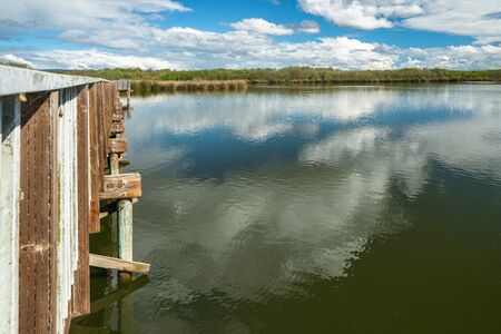 Oso Flaco Lake in Oceano Dunes, California. Oso Flaco is a freshwater lake, and it is a refuge for local and migrating birdsの写真素材