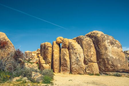 Rocks and trees along the trail in Joshua Tree National Park, Californiaの写真素材