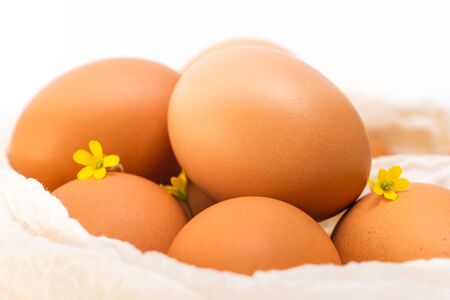 Brown eggs and flowers. Close up composition, white background. Holidays, Easter eggs conceptの写真素材
