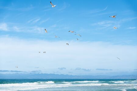Beautiful seascape and flock of birds flying over the sea. Ocean waves, and cloudy sky backgroundの写真素材