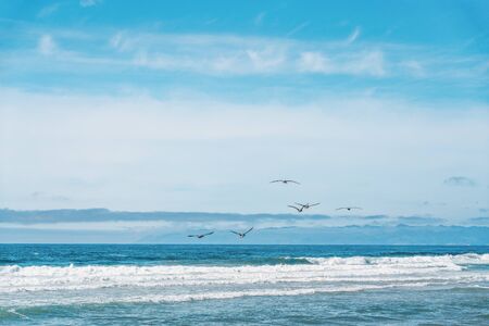 Seascape and flock od flying birds. Ocean, mountains, and cloudy sky on backgroundの写真素材