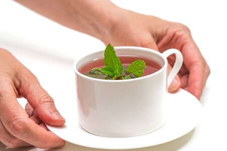 Cup of herbal tea with mint leaves close up on white background, woman handsの写真素材