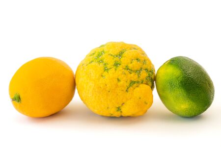 Lemon, lime, Bush lemon close up. Fresh ripe organic fruits isolated on white backgroundの写真素材