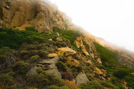 Coastal rock and native plants. Moody landscape. Foggy overcast day, California Coastの写真素材