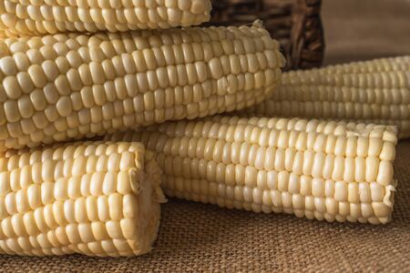 Corn close up. Fresh raw organic uncooked corn close up on rustic backgroundの写真素材
