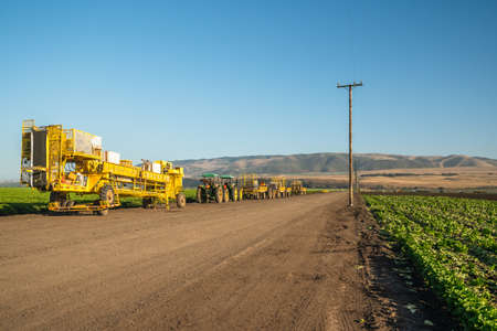 Santa Barbara County, California/USA - July 4, 2020
Agricultural field of celery plant and agricultural machines. Tractors at sunset, standing on the road after working day close to the field.のeditorial素材