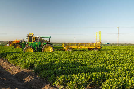 Santa Barbara County, California/USA - July 4, 2020
Agricultural field of celery plant and agricultural machines. Tractors at sunset, standing on the road after working day close to the field.のeditorial素材