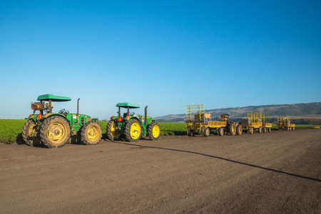Santa Barbara County, California/USA - July 4, 2020
Agricultural field of celery plant and agricultural machines. Tractors at sunset, standing on the road after working day close to the field.のeditorial素材