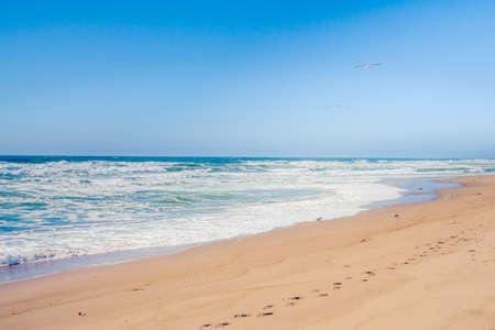 Sand beach pattern background. Sand texture, copy spaceの写真素材
