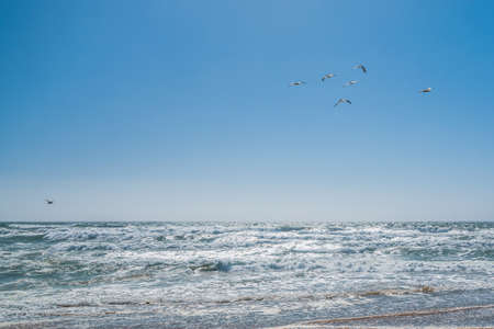 Sand beach pattern background. Sand texture, copy spaceの写真素材