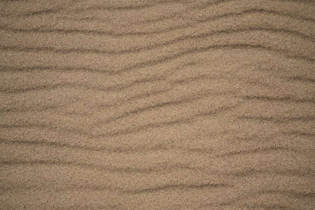 Sand beach pattern background. Sand texture, copy spaceの写真素材