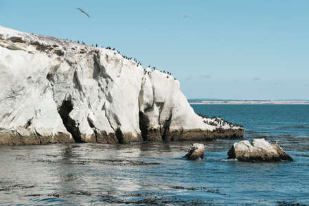 Cliffs, Rocks, Arches, and Flock of Birds. Shell Beach Area of Pismo Beach, Californiaの写真素材