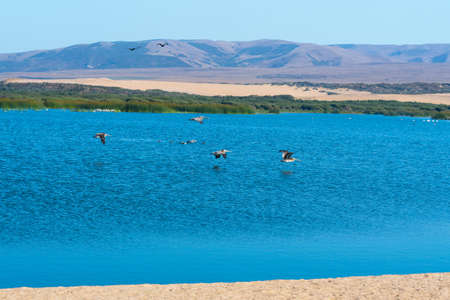 Blue river and flock of flying birds, sand dunes, mountains, and blue sky on background.の写真素材