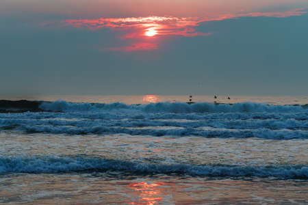 Magical pink sunset over  sea and flock of flying birdsの写真素材