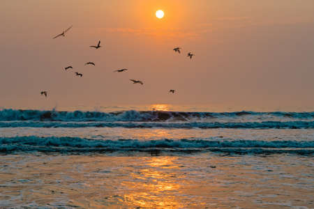 Scenic seascape, sunset over the ocean. Tranquil scene, beautiful sun reflection and flock of birdsの写真素材