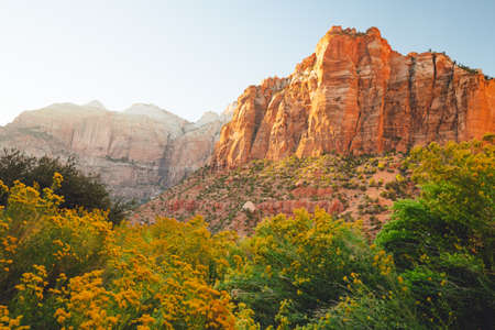 Zion National Park, beautiful fall seasonの写真素材