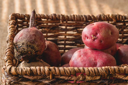 Red potatoes and beet in a wicker basket close up on rustic backgroundの写真素材