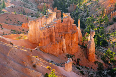 Bryce Canyon National Park, Utah. Red rock formation, sandstone spires, and pine trees in morning...