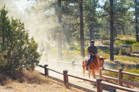 Bryce Canyon, Utah/USA -  October 12, 2020 Horseback riding tour in Bryce Canyon National Park, Utah. Beautiful sunny Autumn dayのeditorial素材