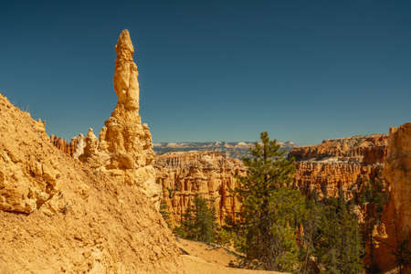 Bryce Canyon National Park, Utah.  Sandstone spires and pine tree forest
