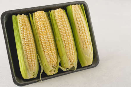 Cobs of sweet raw corn in plastic container close up on light gray background with copy space