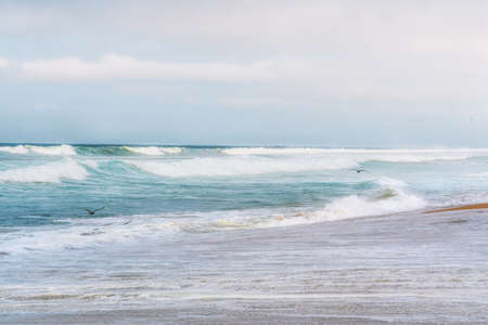 Stormy ocean and flying birdsの写真素材