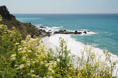 Big Sur, Monterey County, California. Pacific Ocean, cliffs, and native plants on the beach.の写真素材