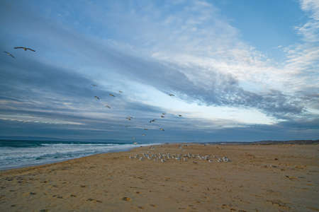 Scenic landscape of tropical beach with cloudy sky on background, blue hourの写真素材
