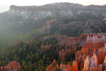 Bryce Canyon valley filled with morning sunlightの写真素材