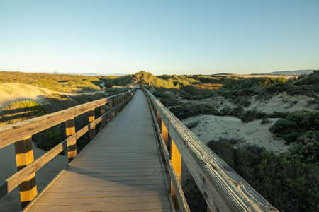 Rustic wooden beach boardwalk through sand dunes, Oso Flaco Lake Natural Area State Park, Californiaの写真素材