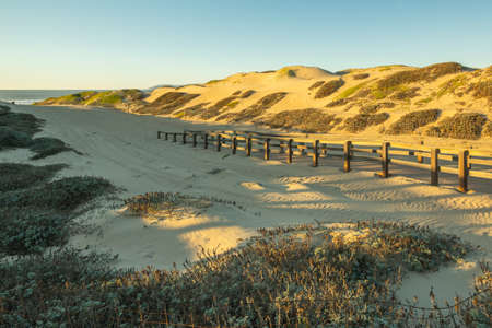 Footpath through sand dunes, California Coastlineの写真素材