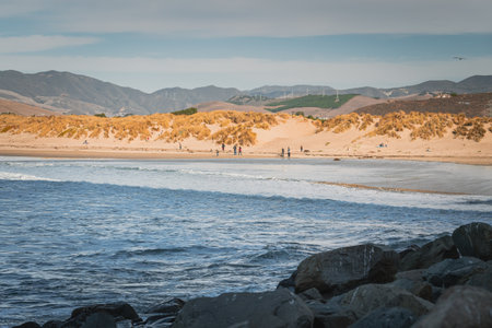 Sand dunes on the beach. Morro Bay state park, California