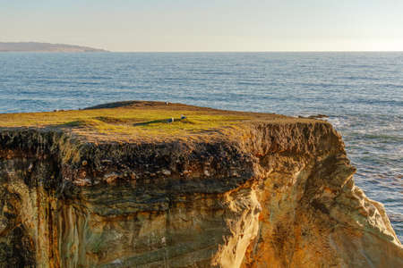 Rocky cliffs and birds, Pacific ocean, Californiaの写真素材