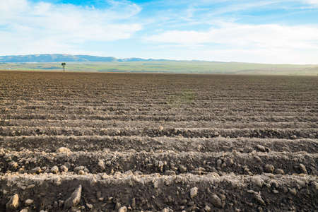 Ploughed agricultural field. Rows or beds prepared for sowing, ready for new crops