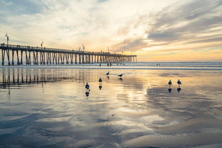 Pismo Beach, California,USA - January 1, 2021 Historical wooden Pismo Beach pier at sunset. Wide...